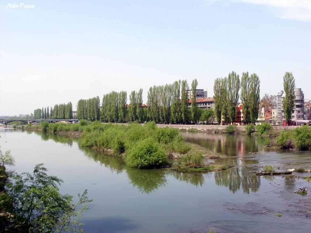 Riverside Apartments Plovdiv With Free Parking Eksteriør billede